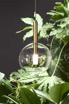 Alchimia Sfera Sarkit 1l Natural Gold Şeffaf - 3