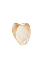 Illan 1l Sarkit Birch - 1