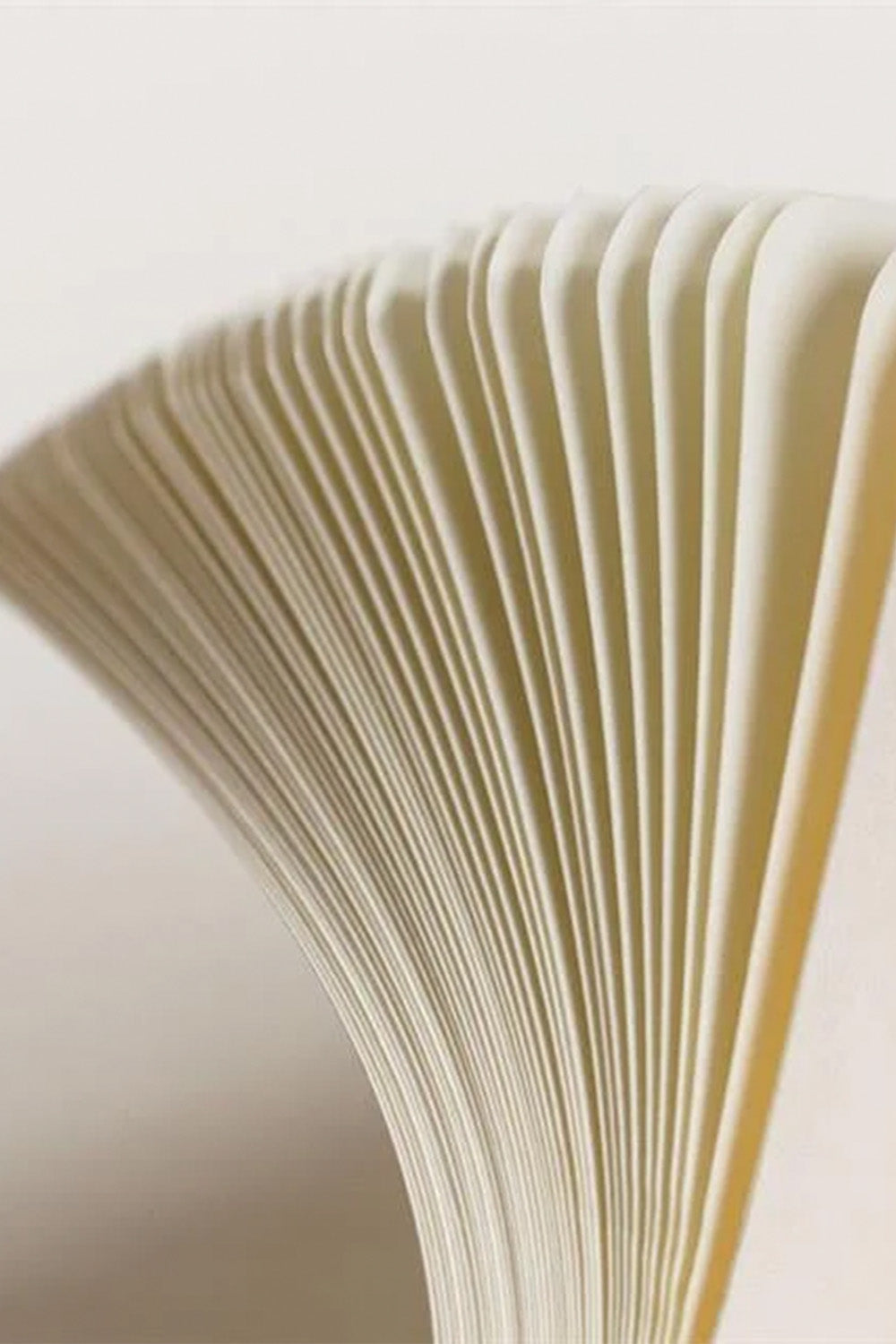 2025 Colors Orta Boy (A5), Sert Kapak, 251 Sayfa, Noktalı Defter Spring Leaf 372193 - 4