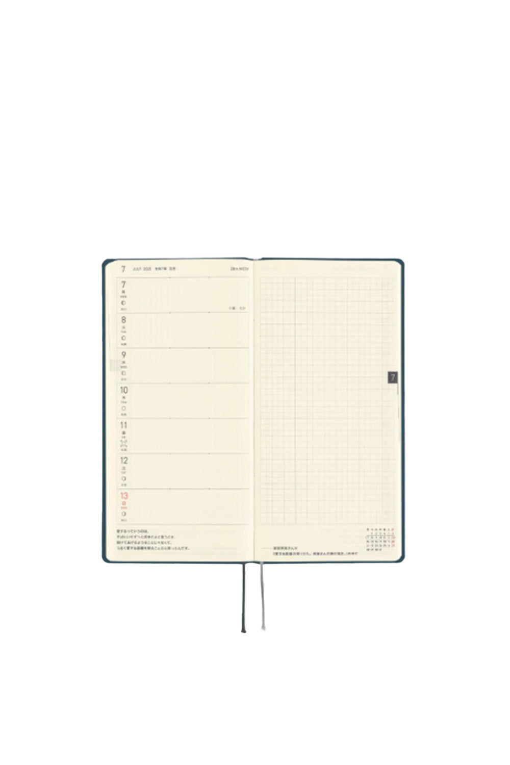 Techo Weeks 2025 Colors: Star Dust - 8