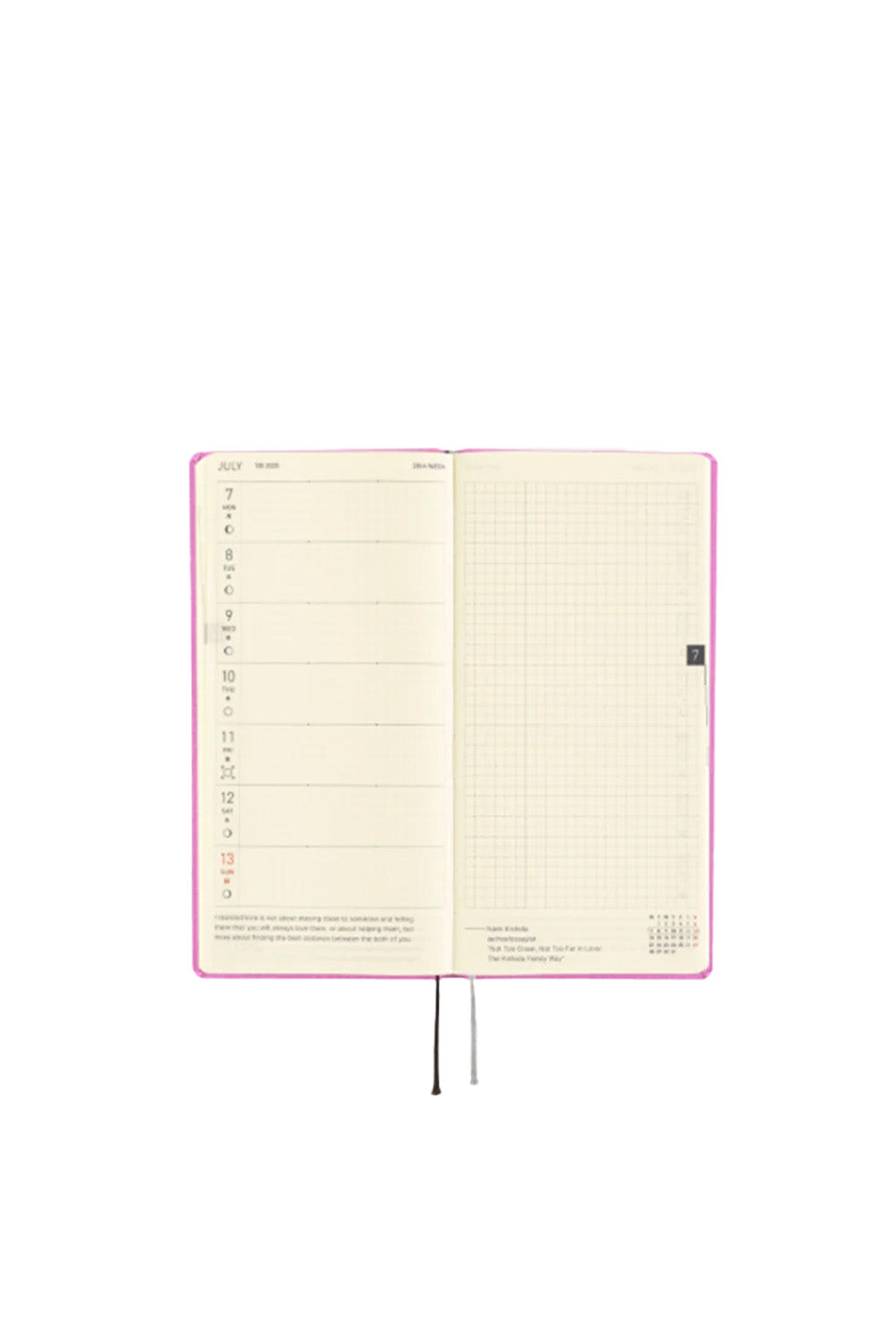 Techo Weeks 2025 Colors: Sweet Purple - 4