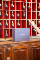 Splendid Palace Voyage Kahve Fincanı 2'li - 10