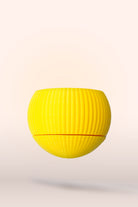 Hue Nest Mini Duvar Saksısı - 1