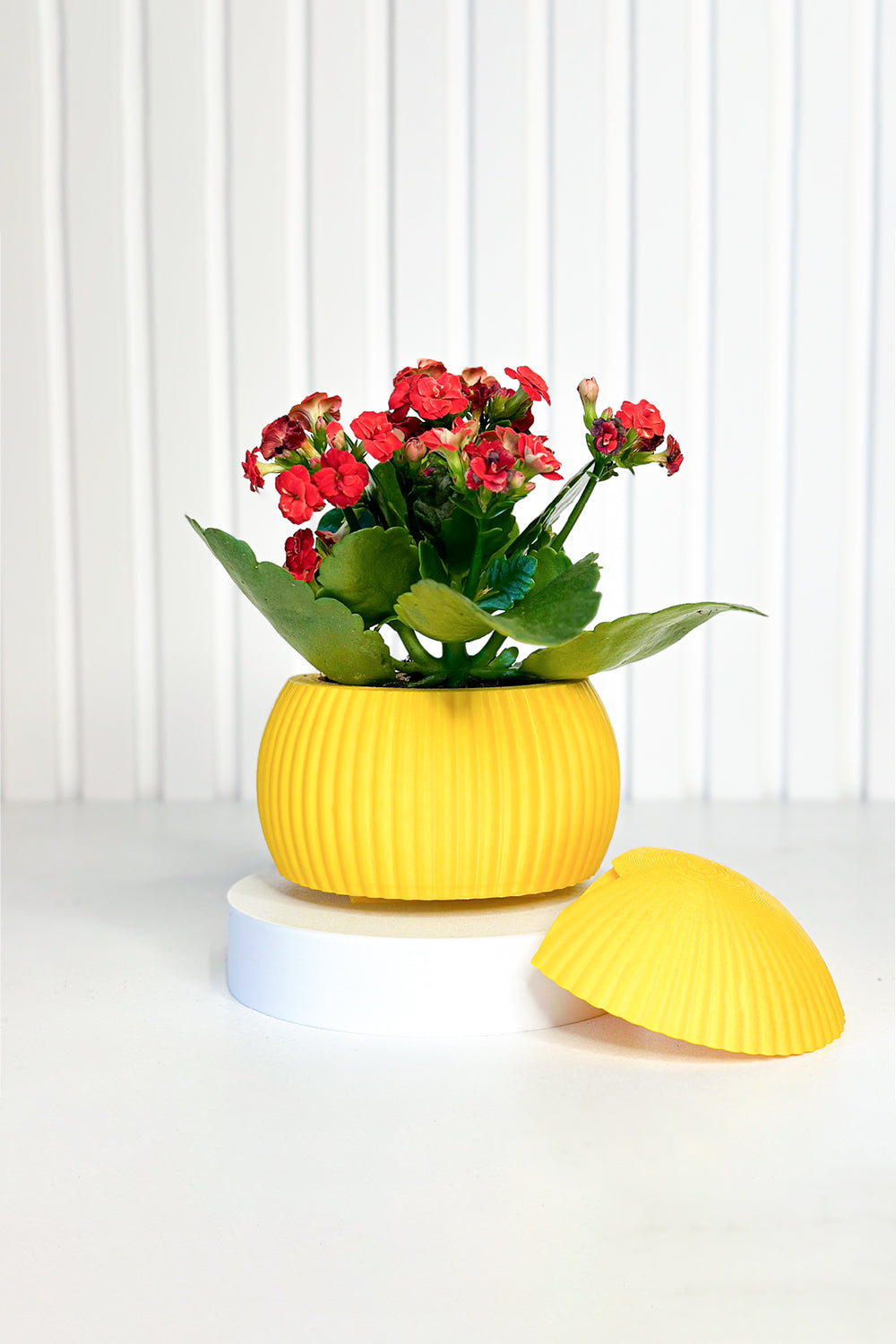 Hue Nest Mini Duvar Saksısı - 3