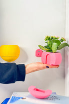 Hue Nest Mini Duvar Saksısı - 7