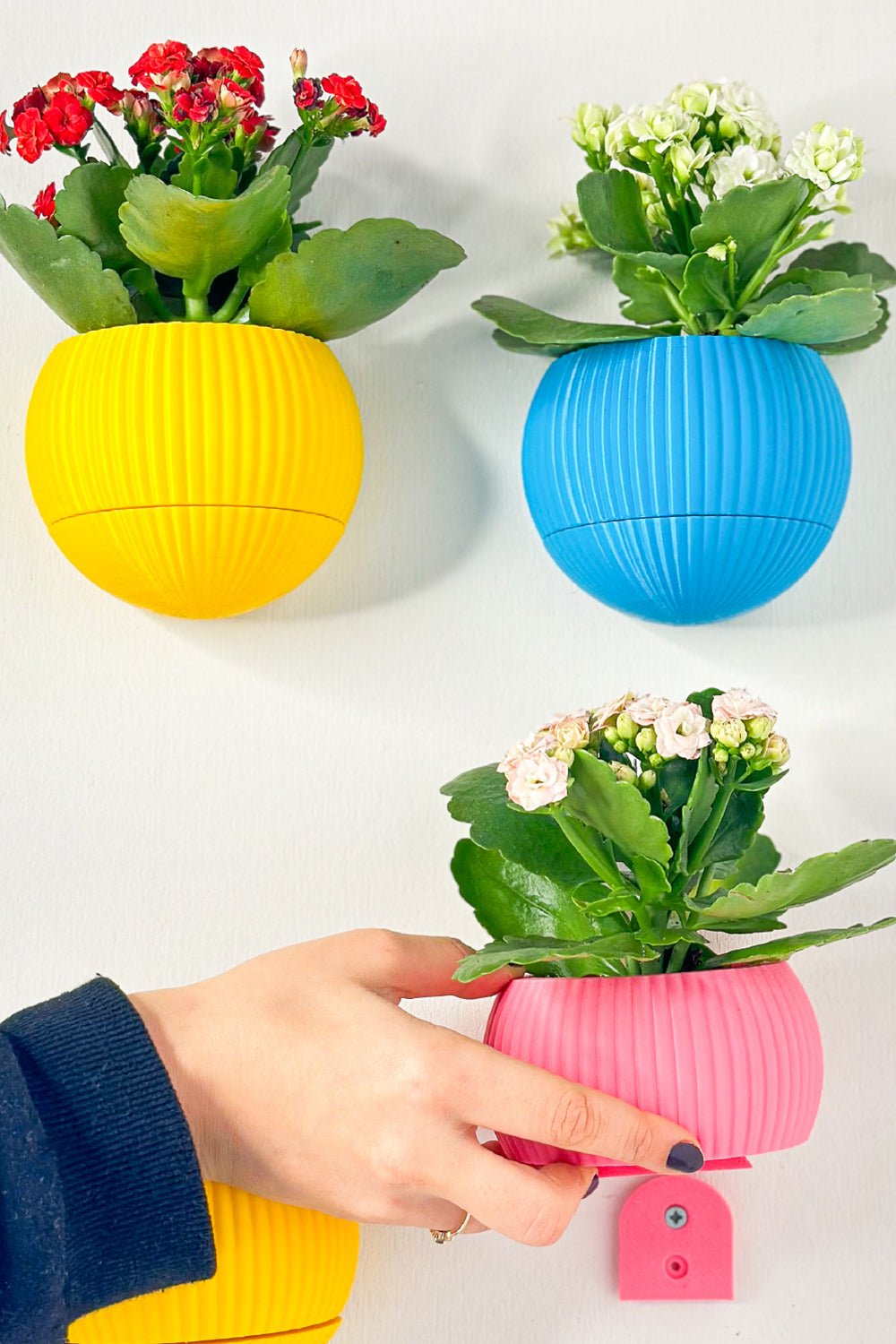 Hue Nest Mini Duvar Saksısı - 4