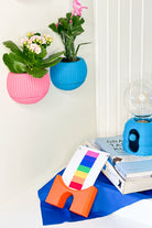 Hue Nest Mini Duvar Saksısı - 7