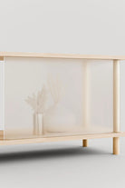 Renkli Kapak Seçenekli Açık Tv Ünitesi & Kitaplık - 3