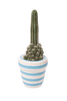 Stripes 'louis'- Ocean Dekoratif Saksı - 0