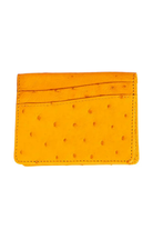 Devekuşu Deri Kartlık No 2 - 2