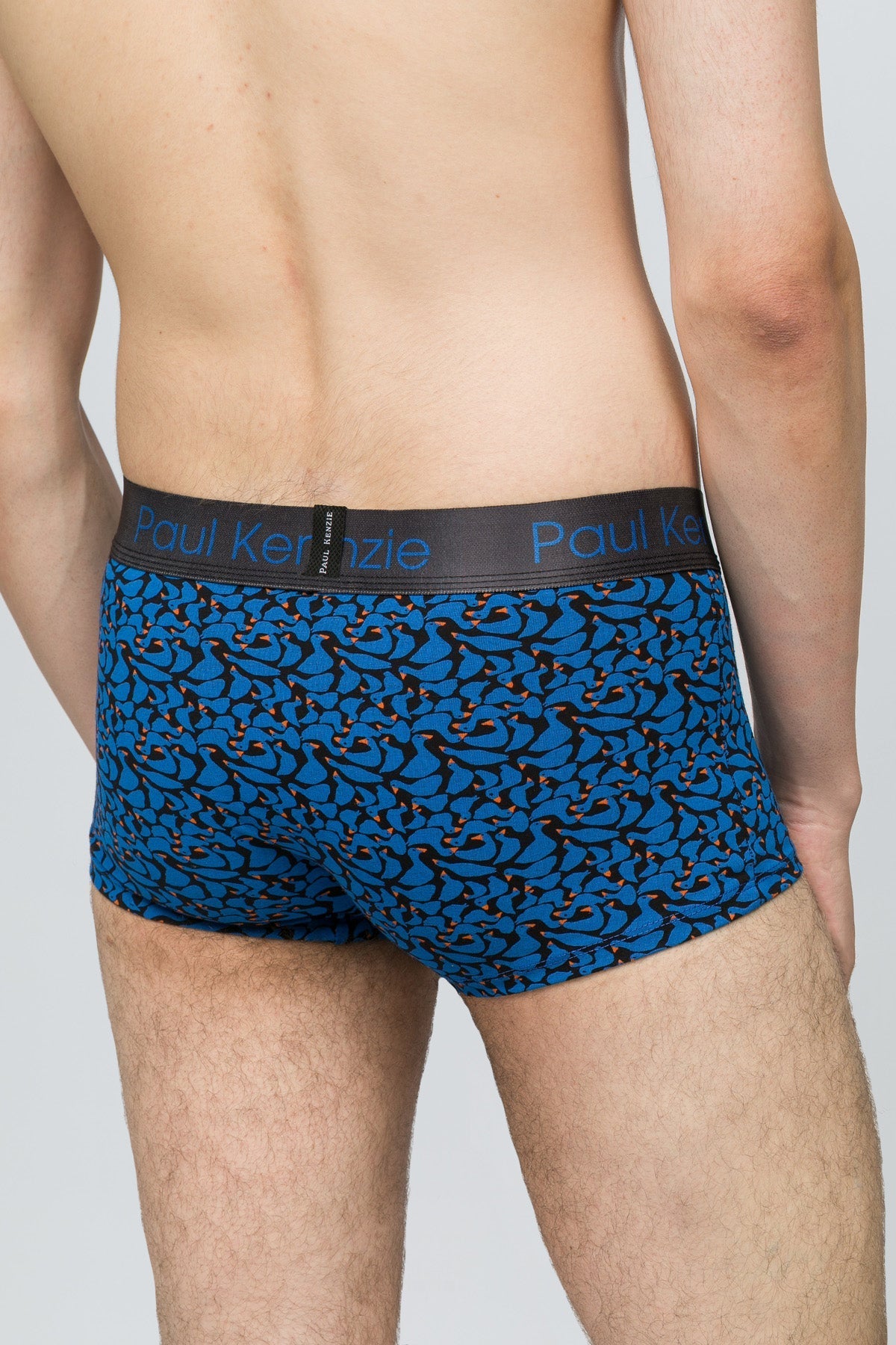 Desenli Erkek Trunk Boxer Goose - 4
