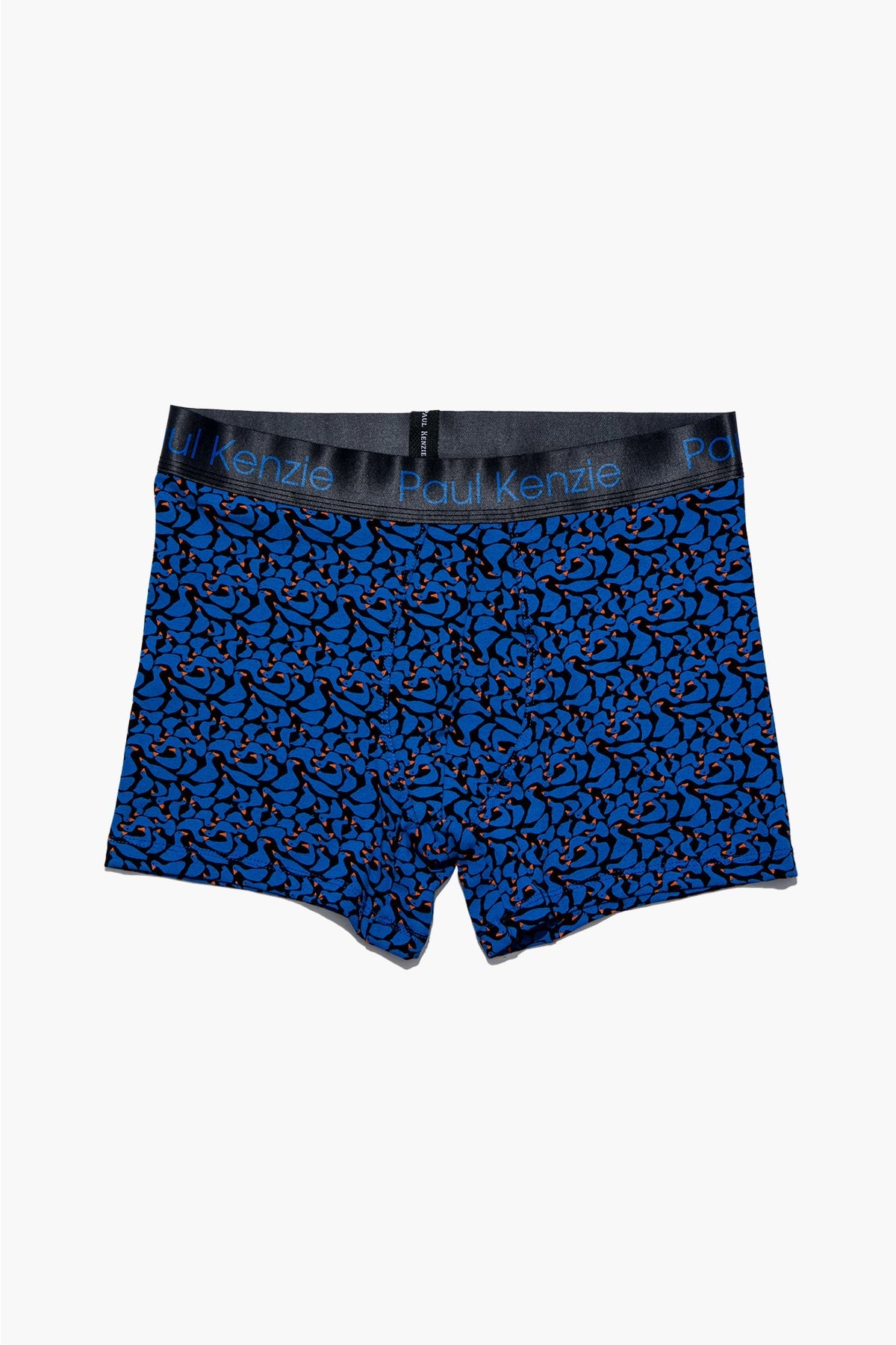 Desenli Erkek Boxer Goose - 0