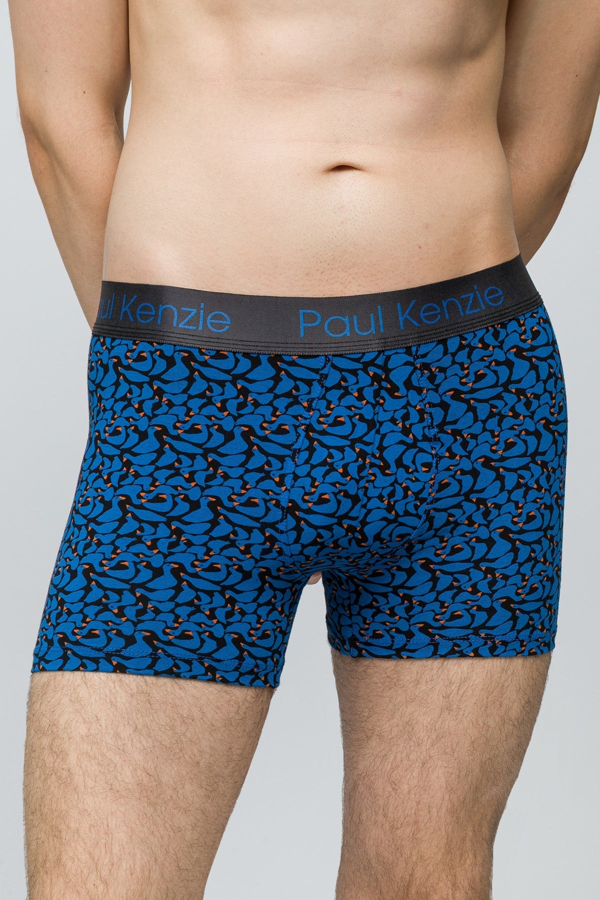 Desenli Erkek Boxer Goose - 2