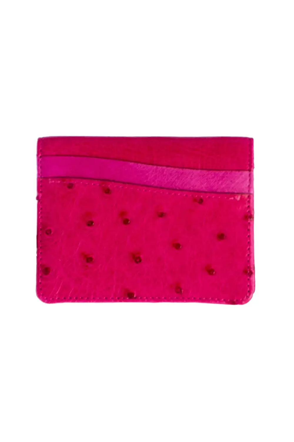 Devekuşu Deri Kartlık No 2 - 4