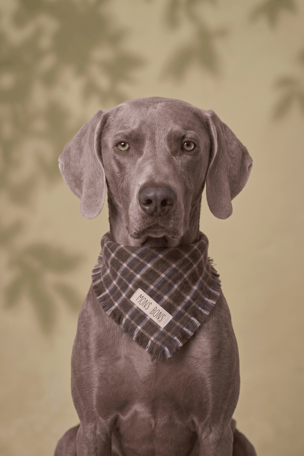 Aero Bandana - 0