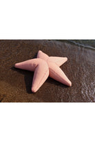 Livingstore Starfish Havuz, Deniz Ve Dış Mekan Pufu | Bahçe Kullanımına Uygun Puf Minder - 2