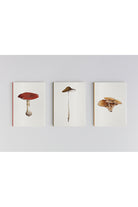 Ürün Görseli