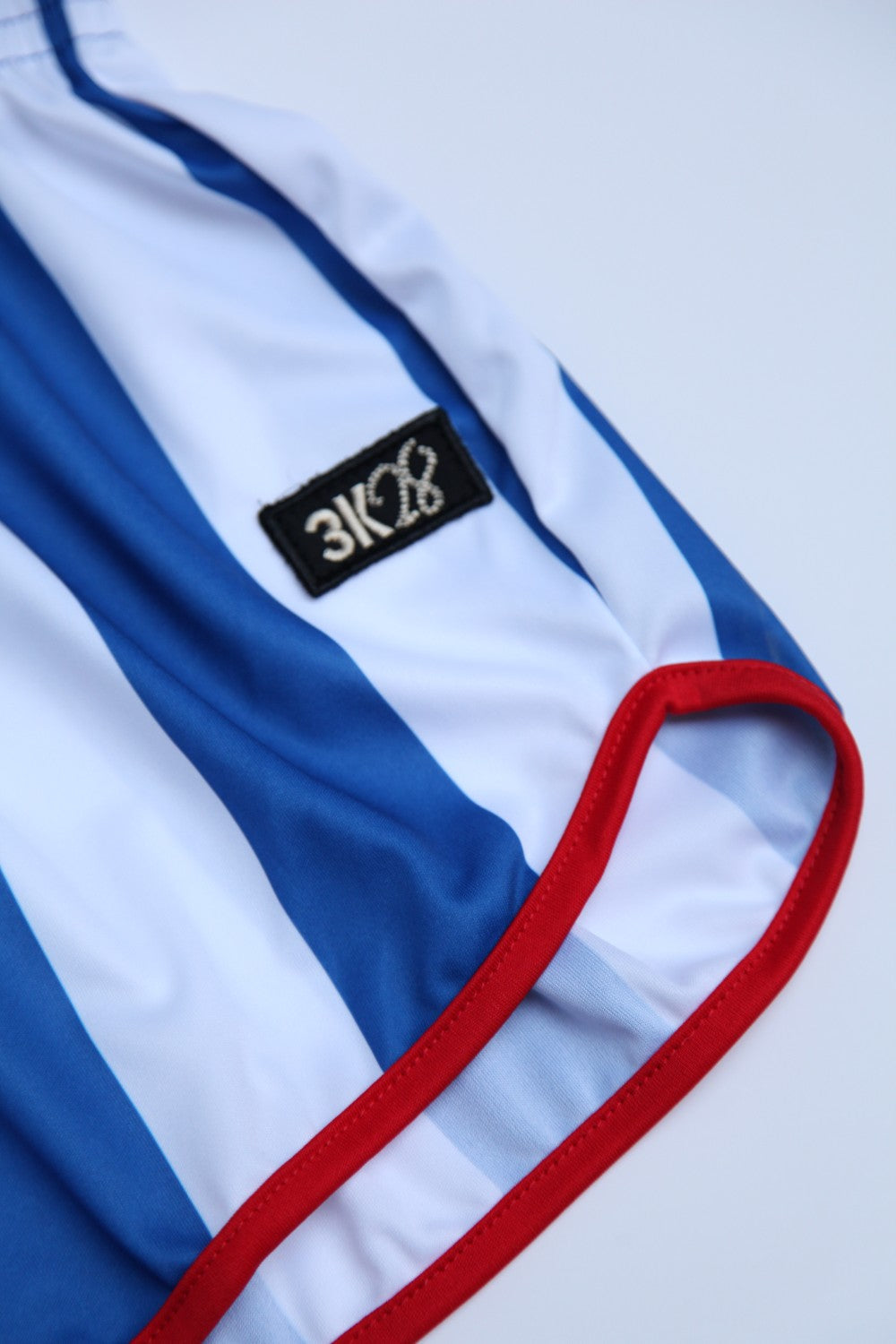 Mavi Beyaz Çubuklu Kadın Şort - 3
