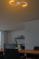 Jadeira 13586 Led Plafonyer Aydınlatma - 2