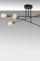 Newt 1501 Rustik Plafonyer Aydınlatma - 1