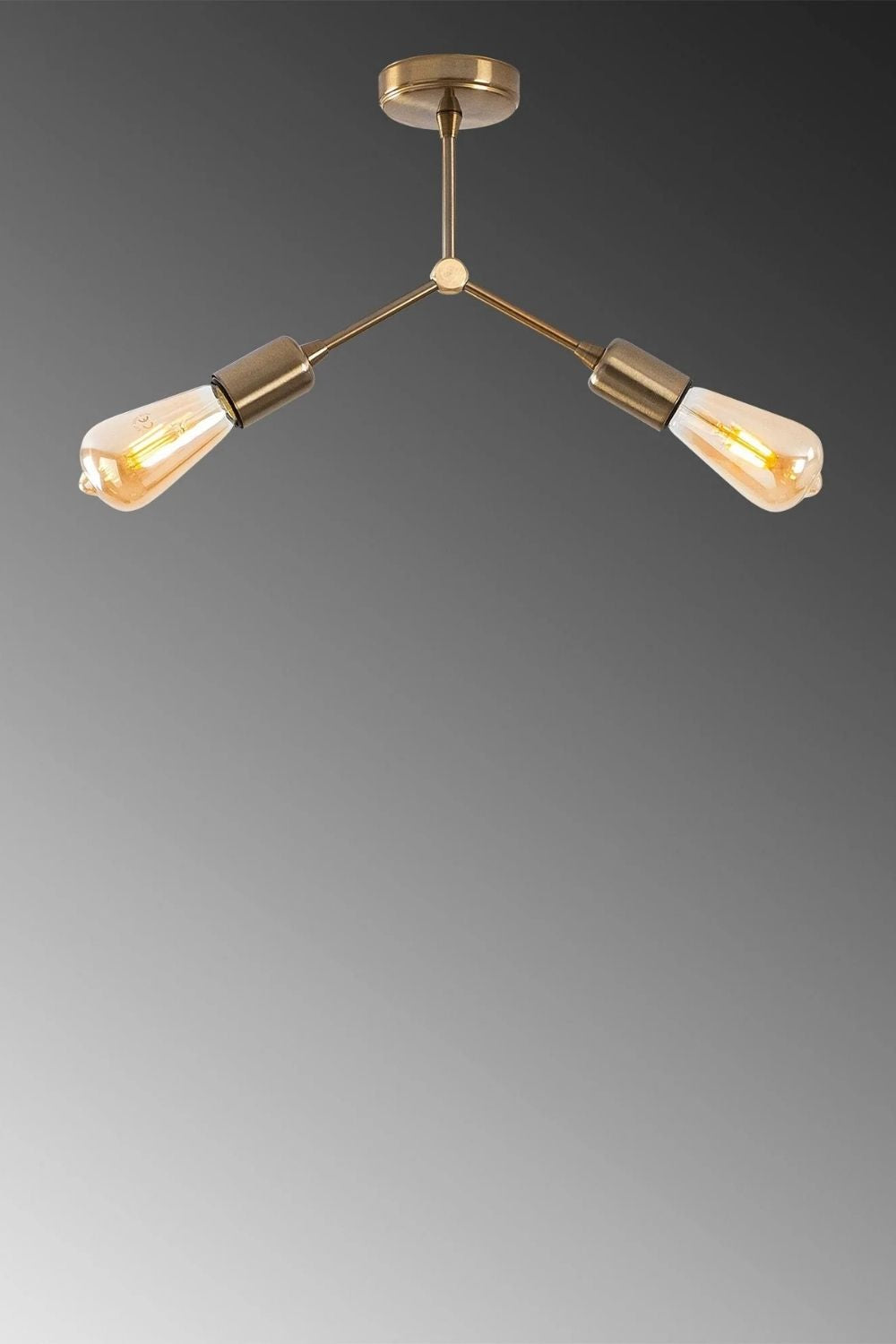 Breezara 1251 Rustik Plafonyer Aydınlatma - 2