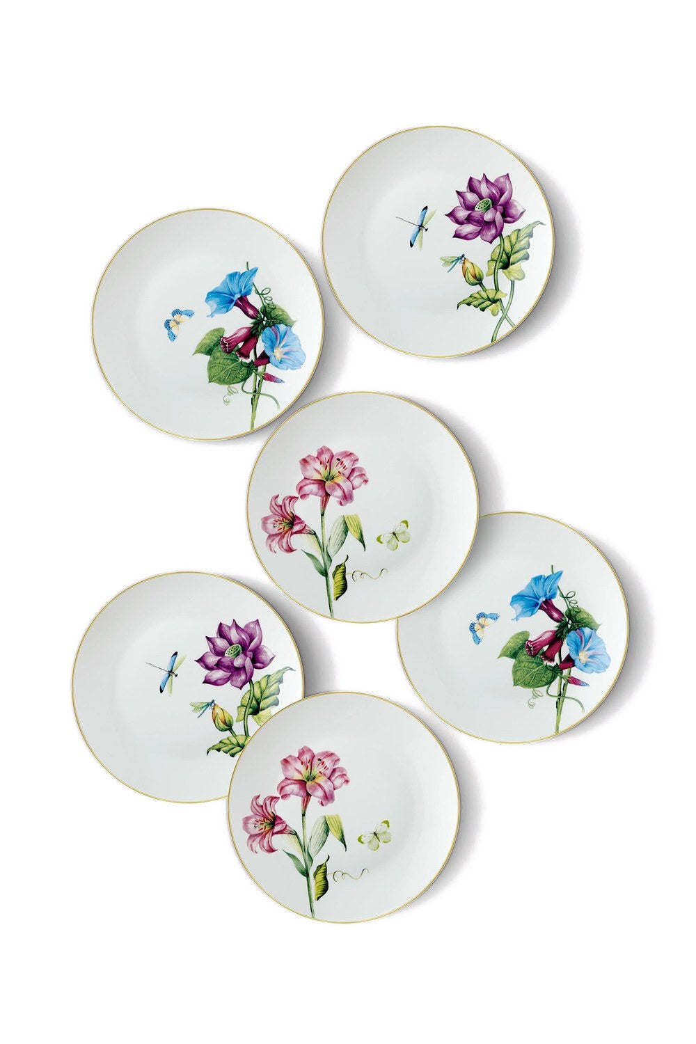 Blomma Pasta Tabağı 6 Kişilik, 21 Cm - 3