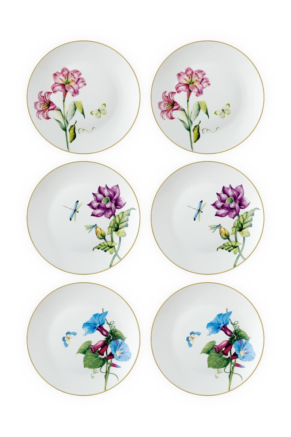 Blomma Pasta Tabağı 6 Kişilik, 21 Cm - 4