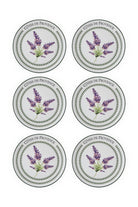 Provence Lavanta Pasta Tabağı 6'lı Set, 19 Cm - 3
