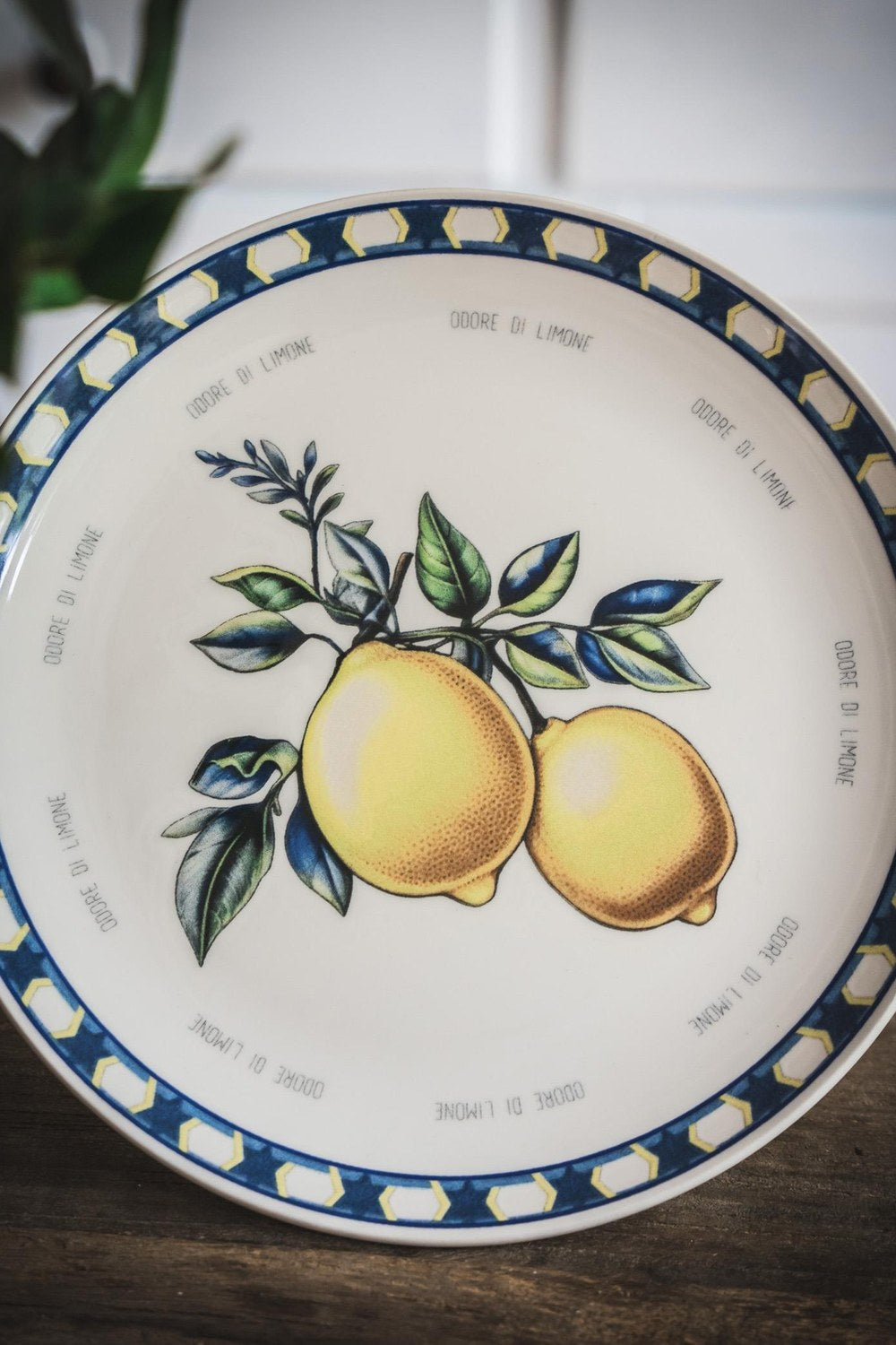 Odore Di Limone Servis Tabağı 6lı Set 26 Cm - 2