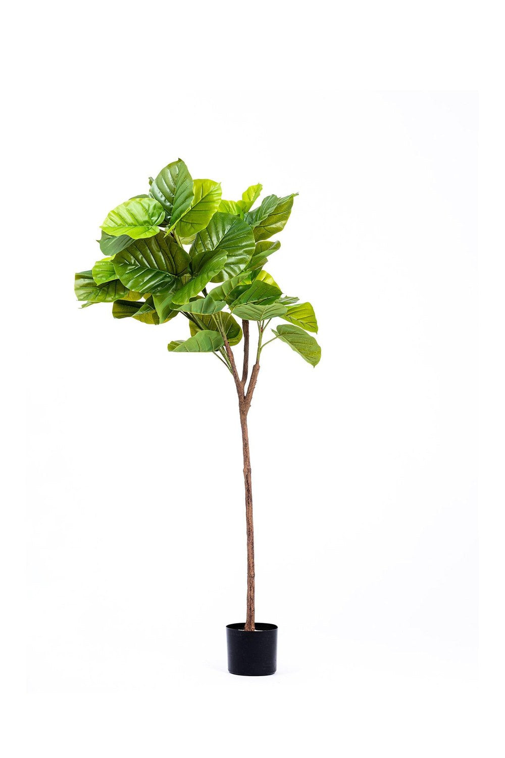 Ficus Umbellata Yapay Ağaç, Yeşil, 4 Dallı, 150 Cm - 0