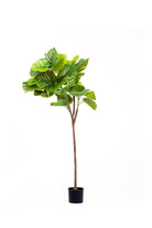 Ficus Umbellata Yapay Ağaç, Yeşil, 4 Dallı, 150 Cm - 0