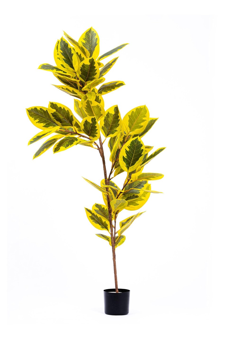 Ficus Altissima Yapay Ağaç, Sarı Yeşil, 6 Dal, 170 Cm - 0