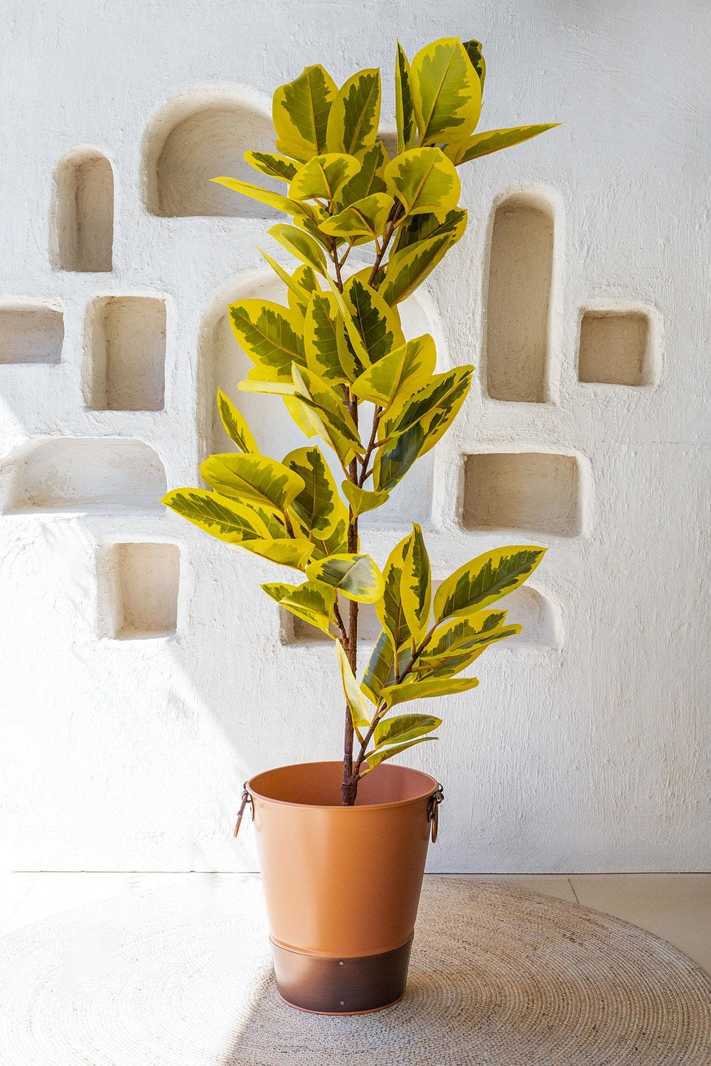 Ficus Altissima Yapay Ağaç, Sarı Yeşil, 6 Dal, 170 Cm - 1