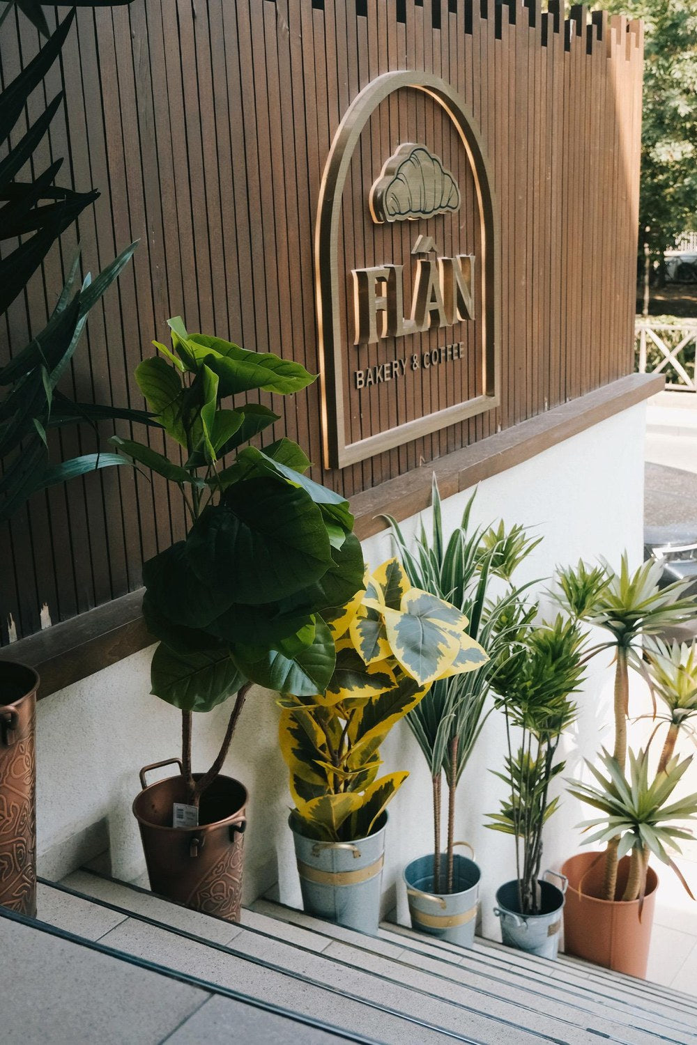 Ficus Altissima Yapay Ağaç, Sarı Yeşil, 6 Dal, 170 Cm - 2