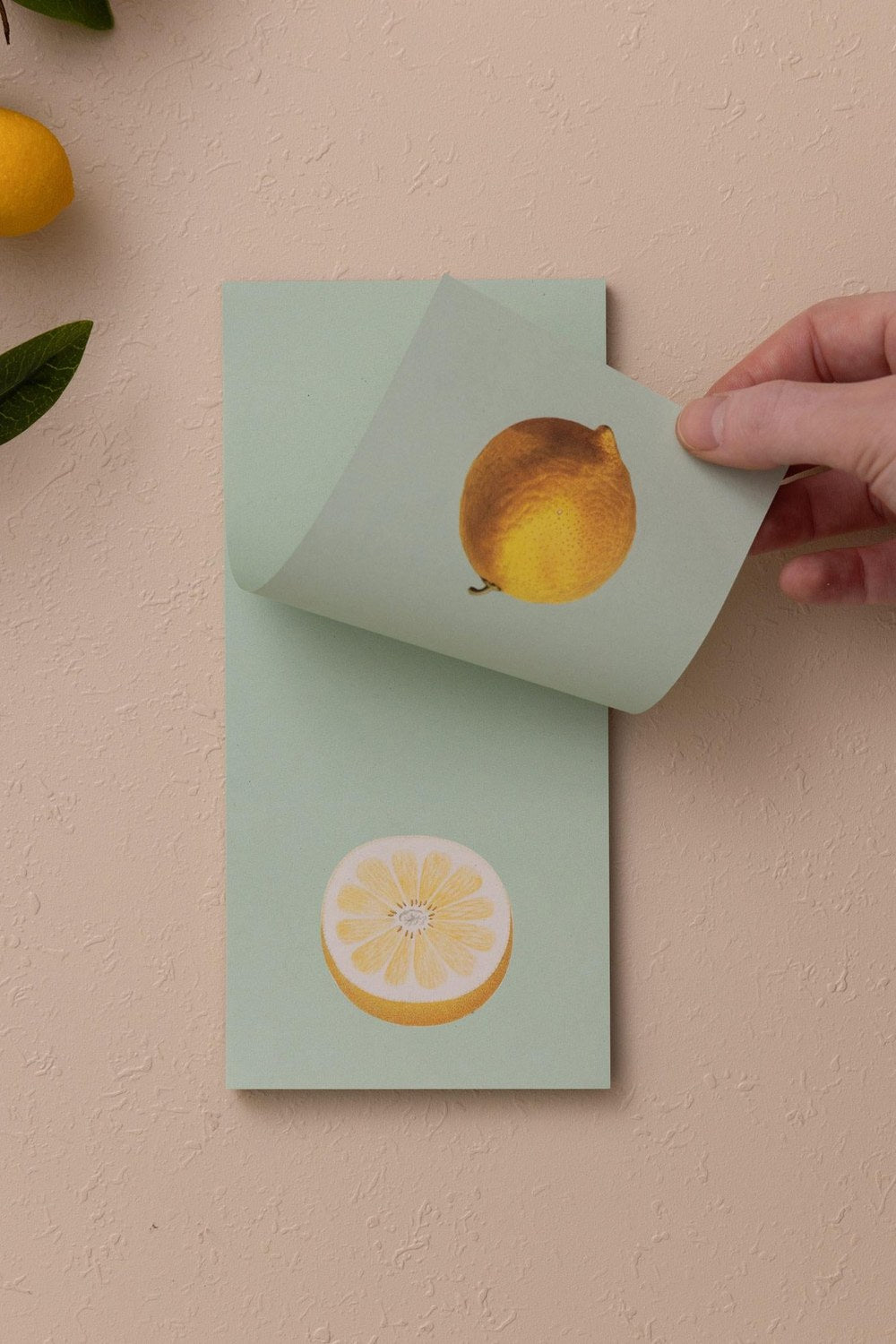 Art Line Mini Notluk, Lemon, 10 × 21 Cm, 40 Yaprak - 1