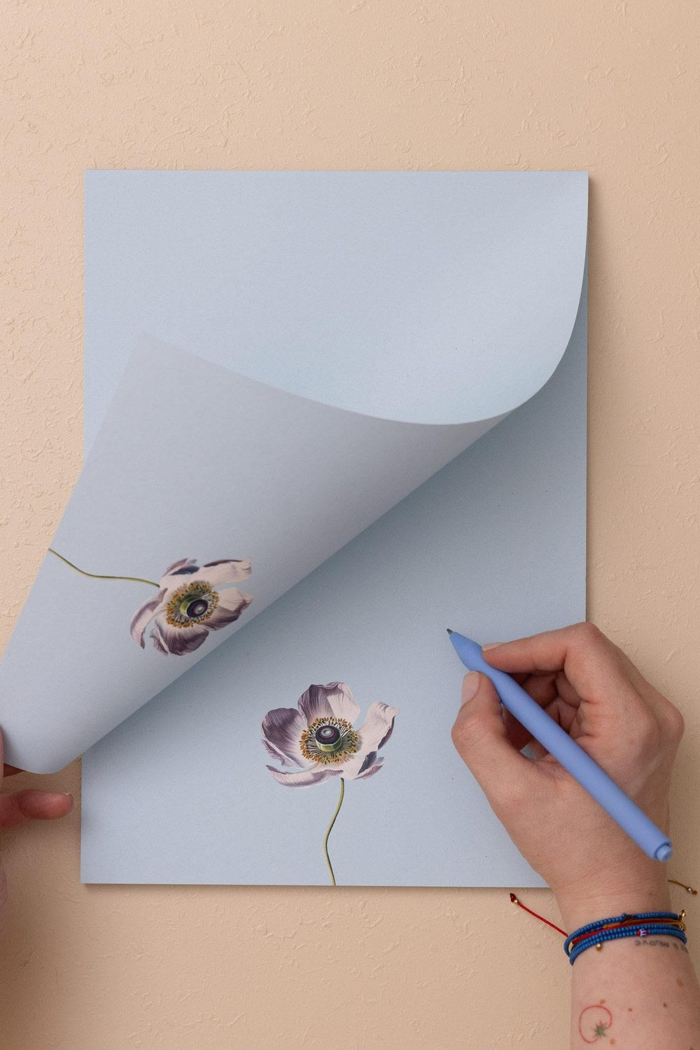 Art Line Mini Notluk Anemone, 21 × 30 Cm, 40 Yaprak - 0