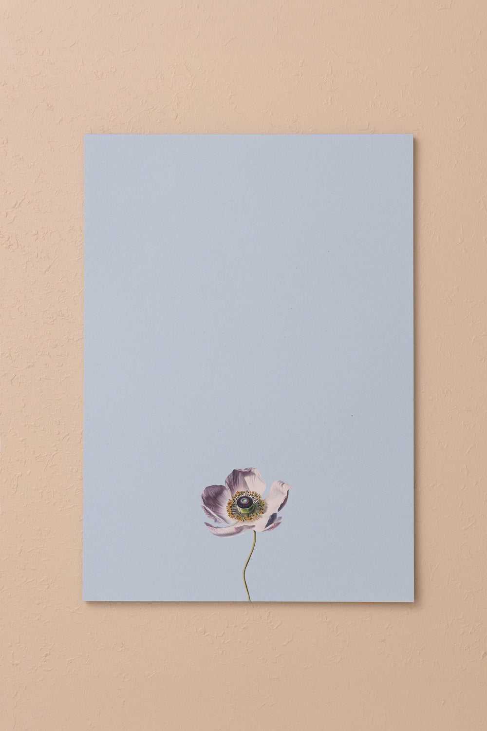 Art Line Mini Notluk Anemone, 21 × 30 Cm, 40 Yaprak - 2