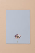 Art Line Mini Notluk Anemone, 21 × 30 Cm, 40 Yaprak - 2