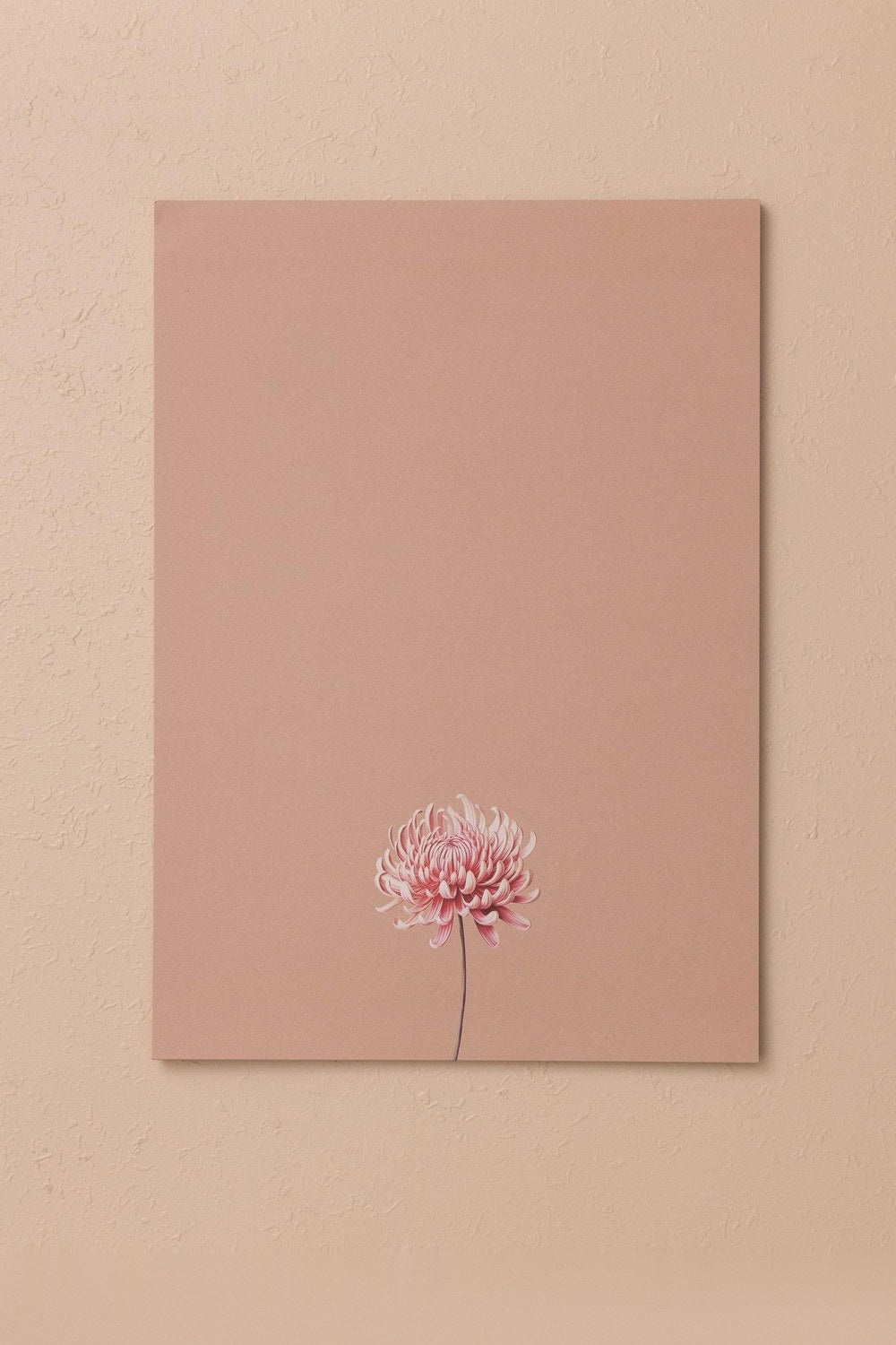 Art Line Mini Notluk Chrysanthemum, 21 × 30 Cm, 40 Yaprak - 2