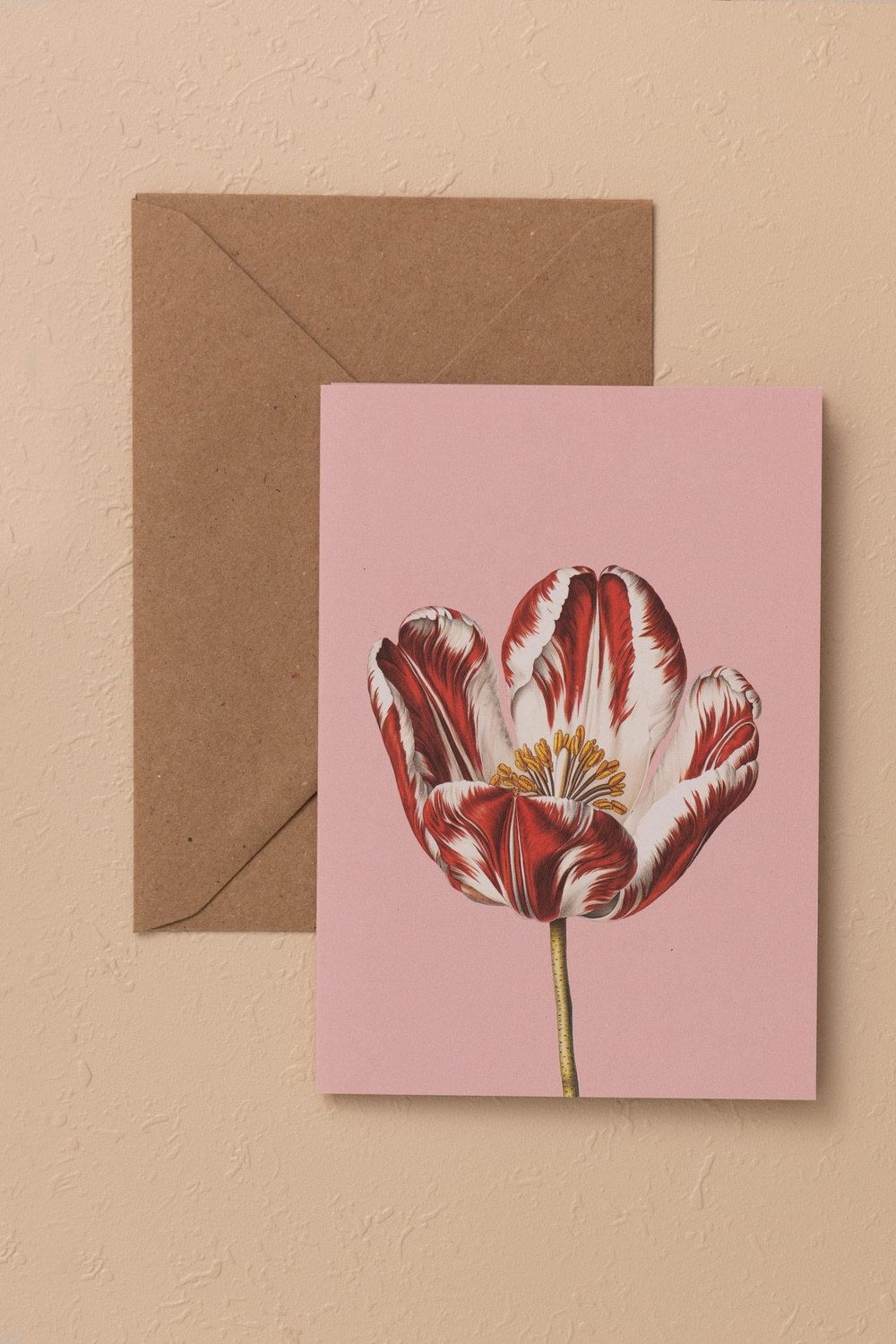 Art Line Mini Tebrik Kart Seti Tulip10 X 14 Cm - 0