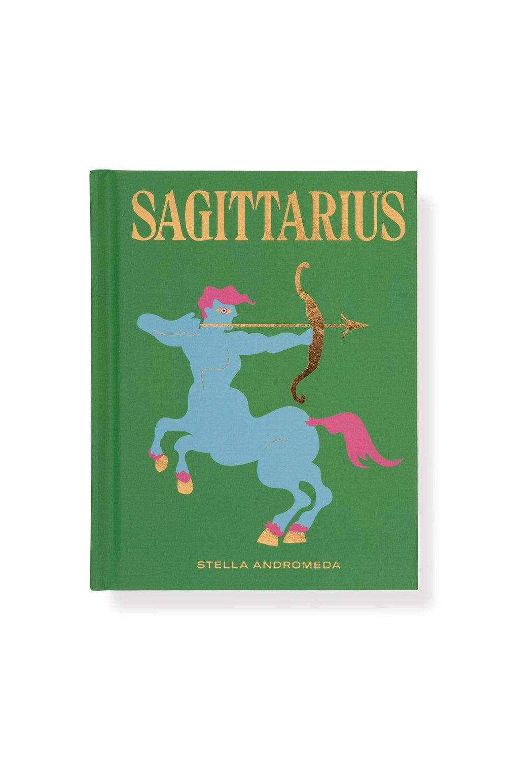 Sagittarius — Yay Burcu Rehberi (Stella Andromeda) - 4