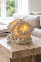 Marin Led Aydınlatmalı Mercan Deniz Kabuğu, 12 Cm - 0
