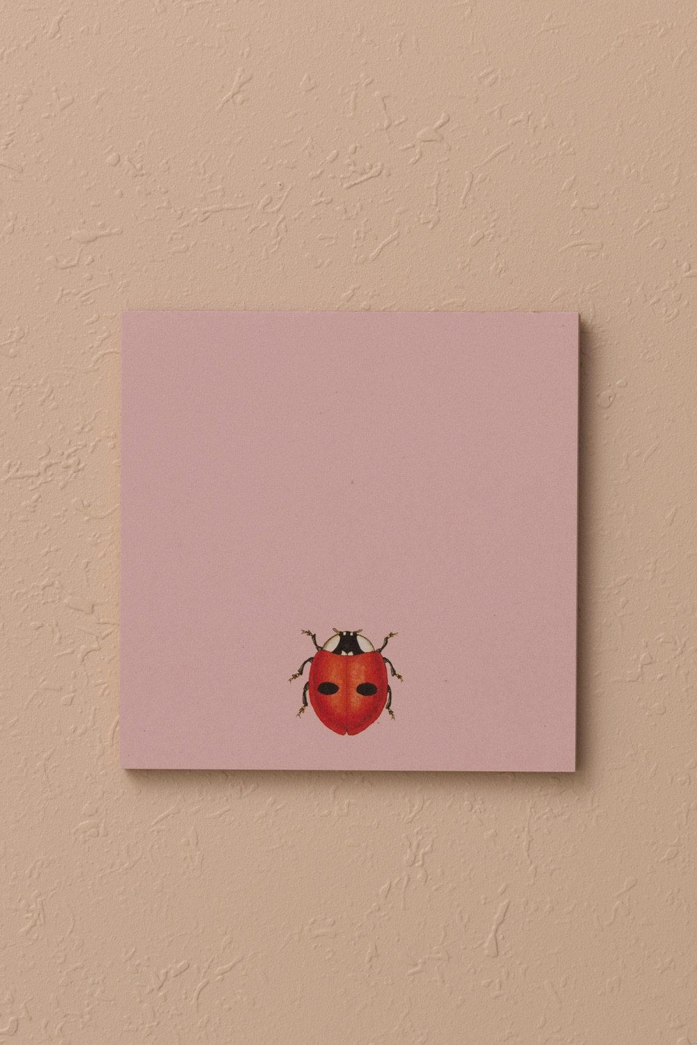 Art Line Mini Notluk, Belladonna, 10 × 10 Cm, 40 Yaprak - 2
