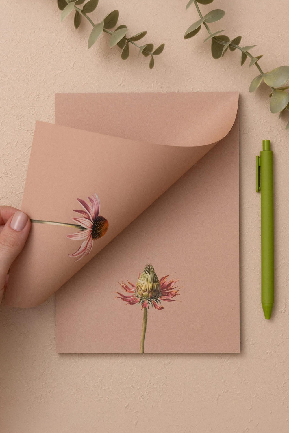 Art Line Mini Notluk Coneflower, 15 × 21 Cm, 40 Yaprak - 0