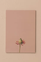 Art Line Mini Notluk Coneflower, 15 × 21 Cm, 40 Yaprak - 1