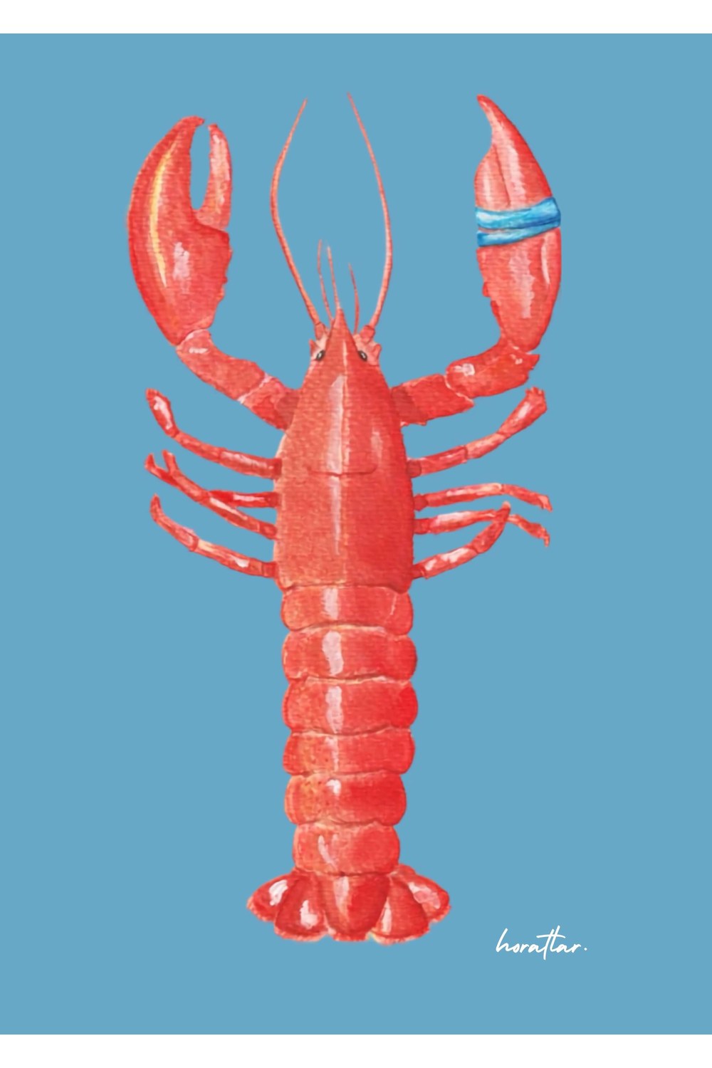 Hazal Türer - Lobster (Blue) - 1