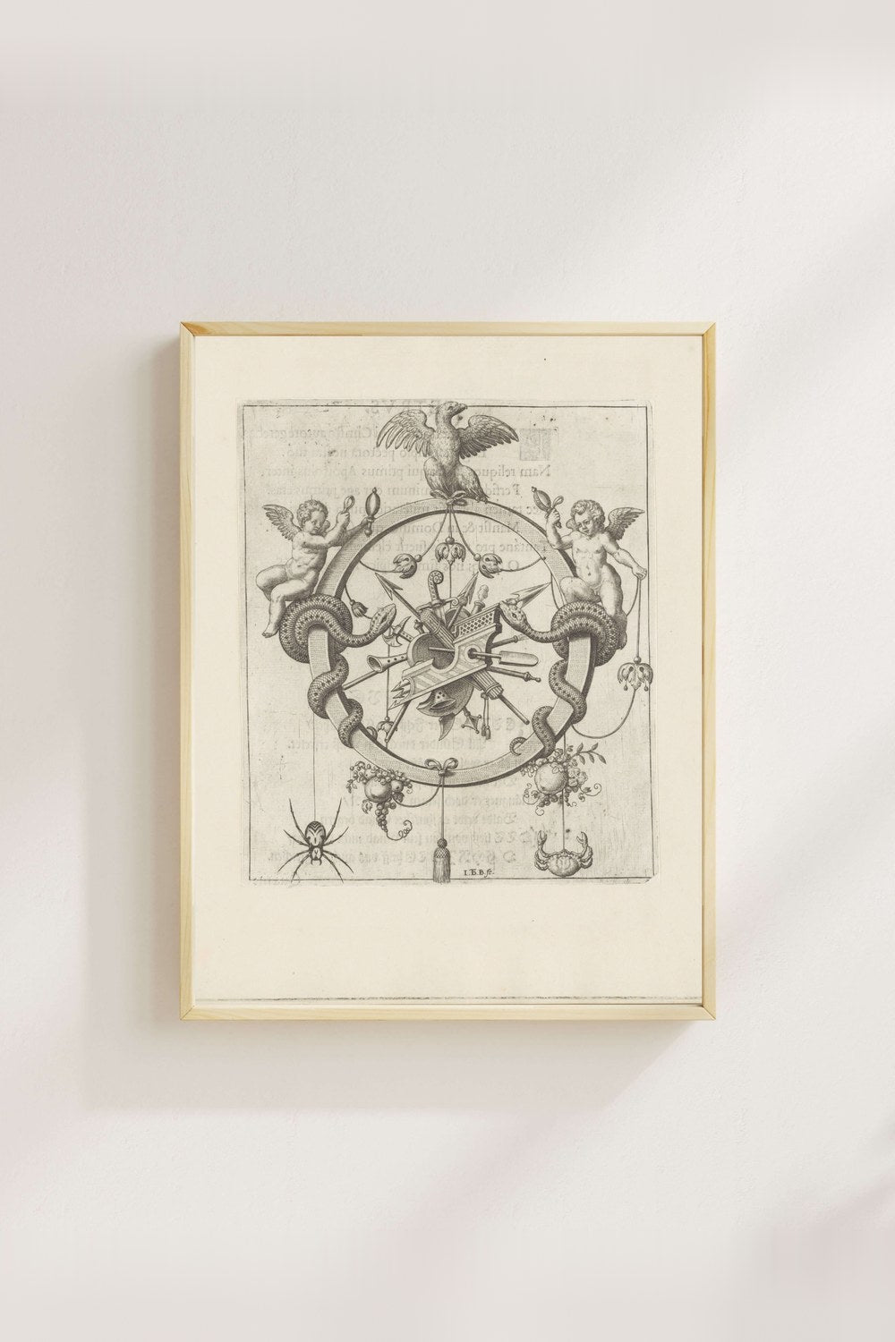 Johann Theodor De Bry - Ey Rab - 4