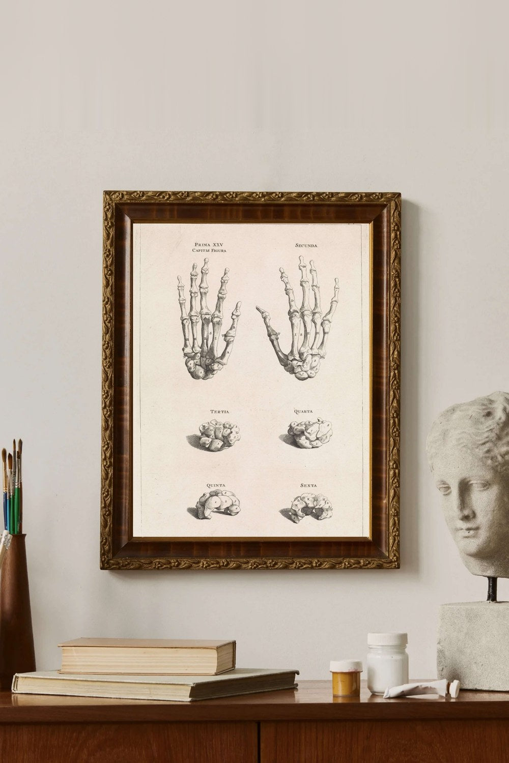 Jan Wandelaar - El Kemiklerinin Anatomik Çalışması - 3