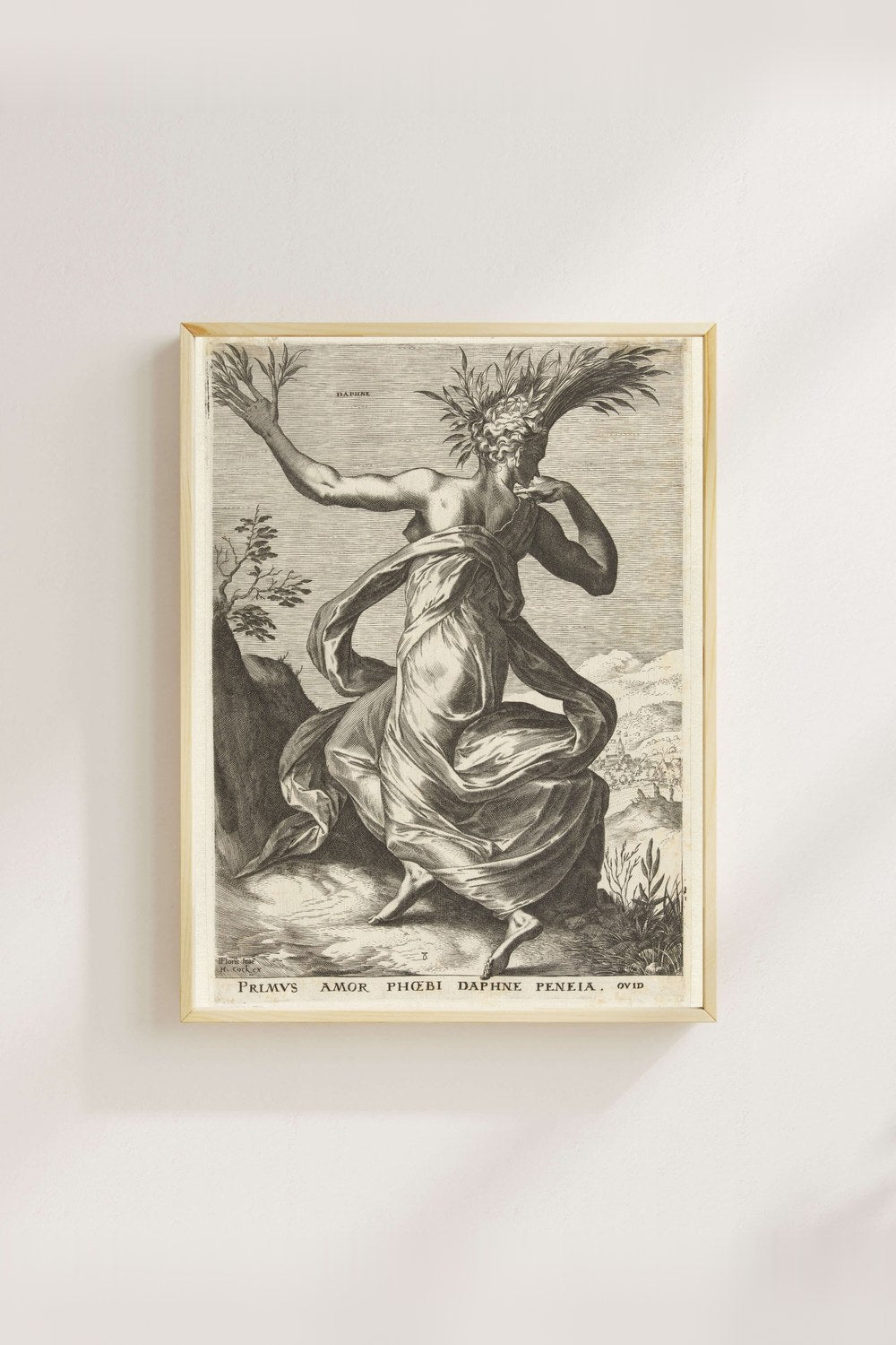 Cornelis Cort - Daphne - 4