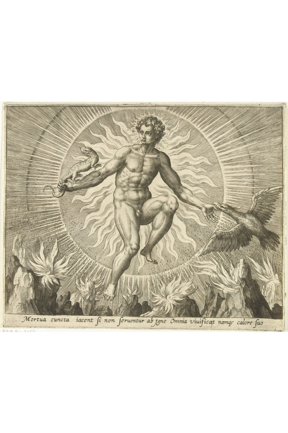 Adriaen Collaert - Havai Fişek - 1
